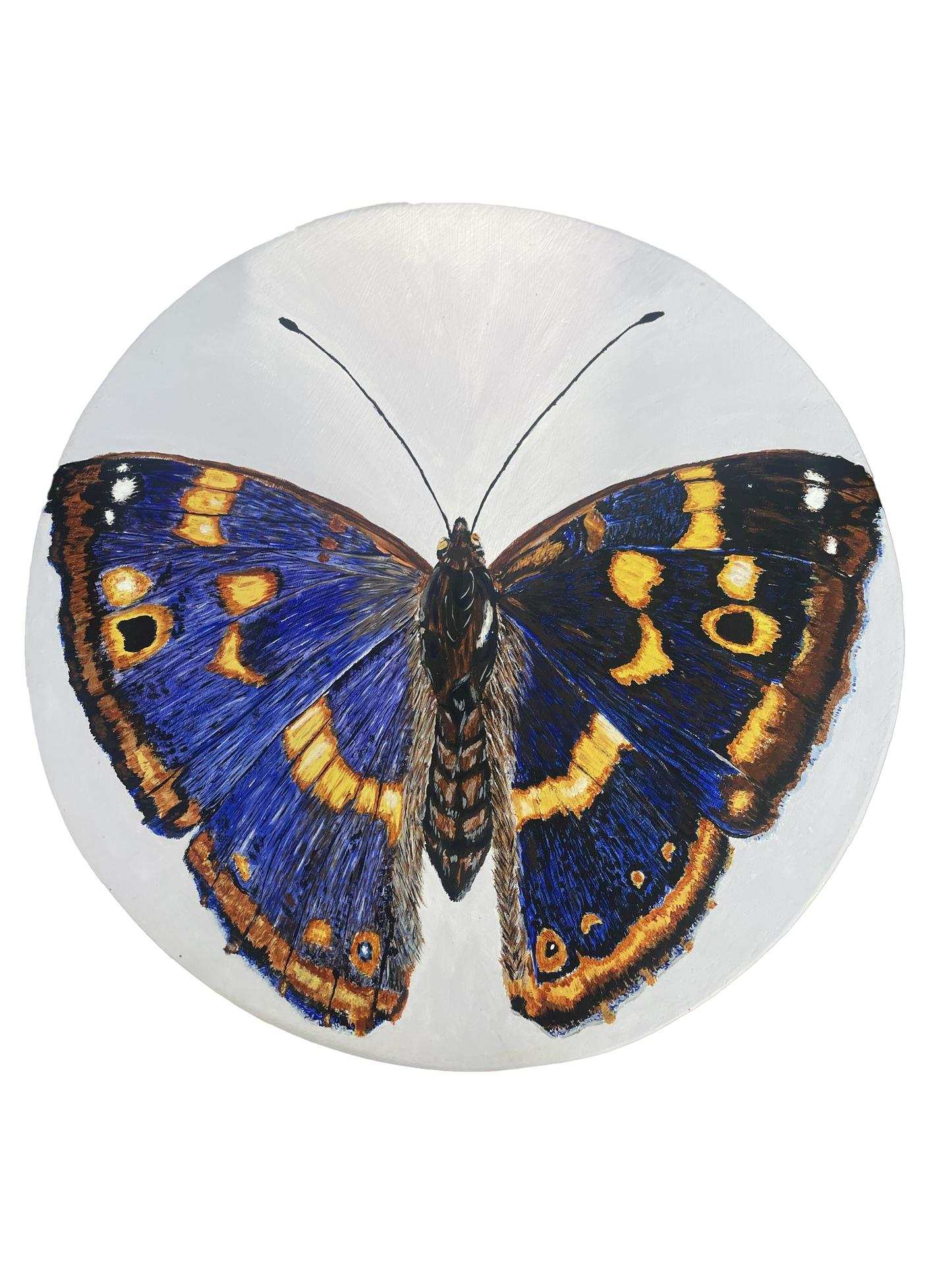 Purple Emperor Table – A Sculptural Tribute to Transformation and Beauty