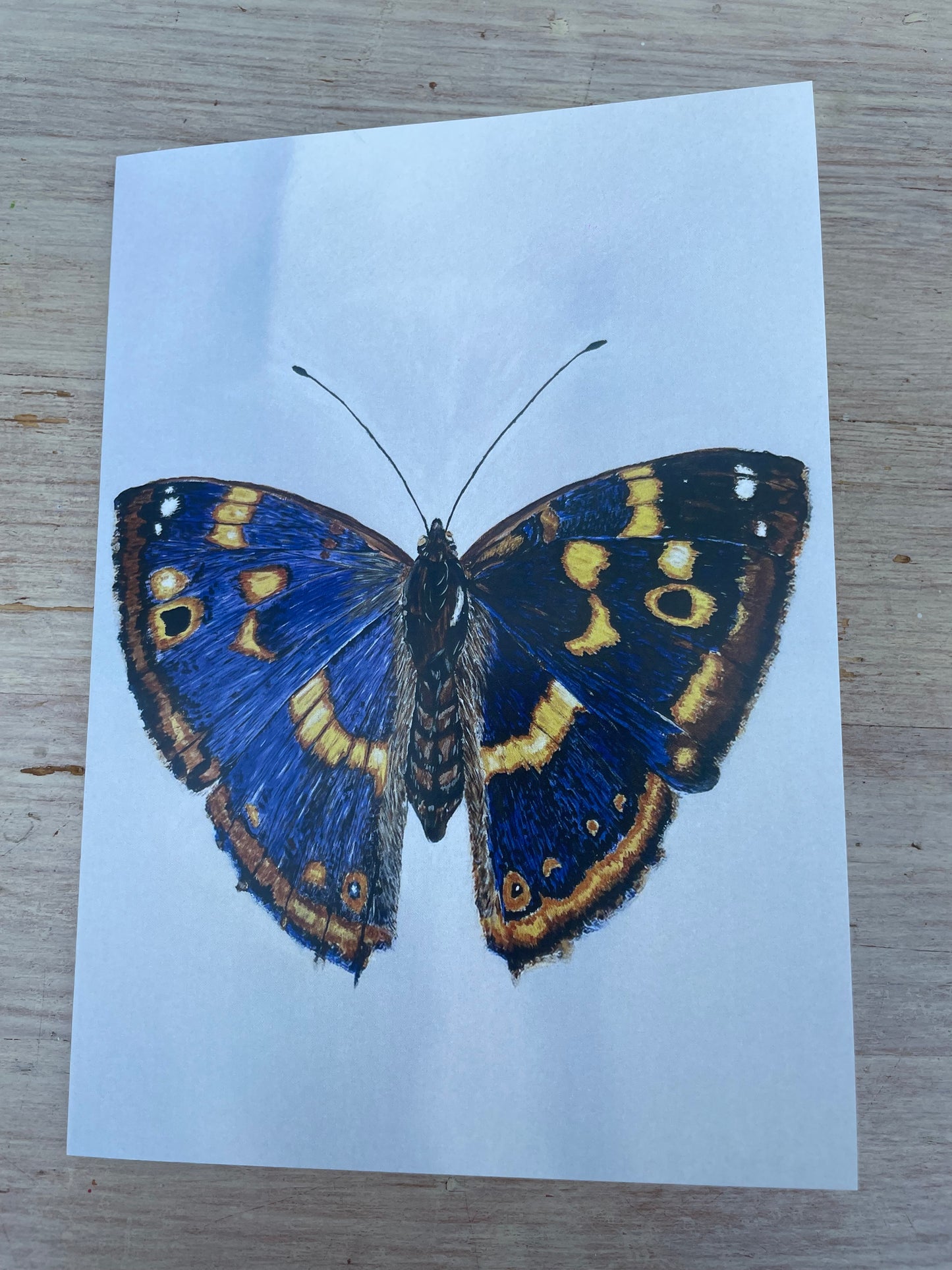 Greeting card bundle of 6
